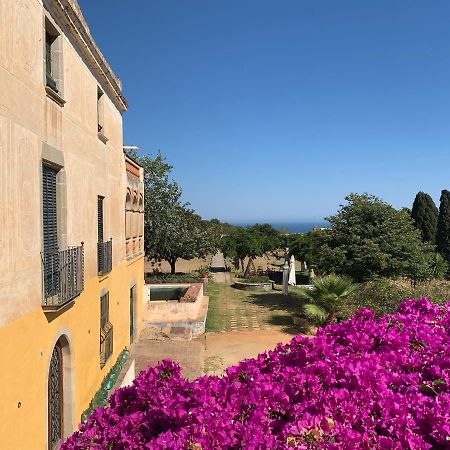 B&B Can Casadella プレミアー・ダ・ダルト エクステリア 写真